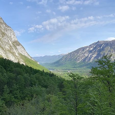 Apartments & Rooms Stare Bohinj Exterior foto